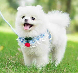 n[lX  킢 [h R [v L EH[LO  v[c [X    obN  ybgpi U `FbN sN  F