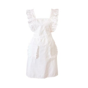 Gv fB[X  v[g  t    vZX ؍ ʋC Ǝ Lb`