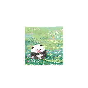 R[X^[  q p_ ԕ 傫 z fM ƒp eB[Jbvp e[u ی