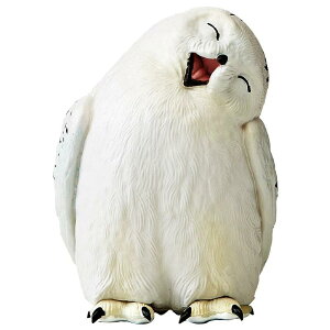 tNE ObY 킢  R Lcl p_ g nX^[  Aj} u I[ig  Mtg PVC      F