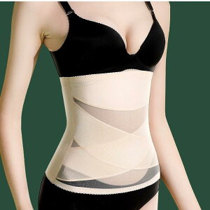   xg Y  p   ʋC  EGXg VFCvAbv ␳  ig n Vv 傫TCY e x[W 