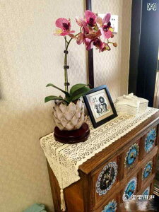 �e�[�u�������i�[ ������� �C���e���A ���[�X ���� ���B���e�[�W�� �J���g���[ �� �A�����J�� ���ؕ� �����` �f�R���[�V����