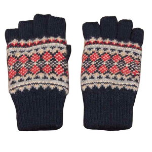  fB[X  g ~ wȂ ܖ{w h E[ N  ؍ w  ʊw 킢