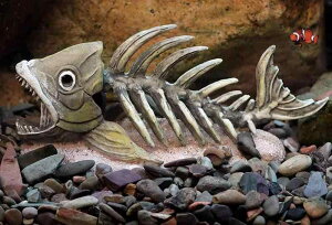 ANAE B    hS   W    K[f   Vv _[N x v[g  F 傫