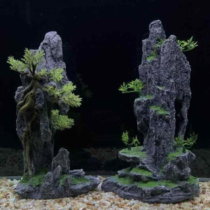 ANAE B    傫   K[f   Gr    Zbg i ʐ^ Be  R