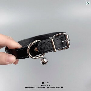 `[J[ fB[X  Y ubN tFCNU[ x ؍ pN Vv  ANZT[ ʋ fC[