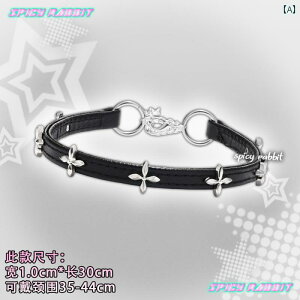 `[J[ \ ؍ Be[W pN h fB[X  ubN ANZT[