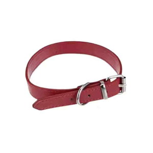 `[J[ fB[X  nEB y2k pN ZNV[   lbNoh ANZT[