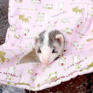 tFbg nbN ybg 킢 ݂艺 P[W tl ~  XCO  XNGA tbN L `FbN sN 