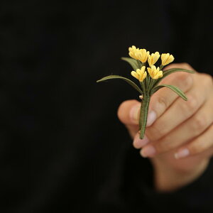 u[` fB[X  tH[} j    ߂ Ԃ i @ s Œ 蕨 `Ci `Ci ANZT[