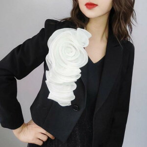 �u���[�` �� �o�� �A�[�g ���� �t�����[ �傫�� �V�����_�[ �A�N�Z�T���[ �W���P�b�g �R�T�[�W�� �z�� �� ���`�[�t