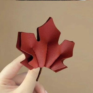 wAANZT[ fB[X H~ ؍ g U[    s Nbv Vv GKg     