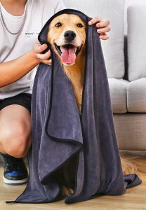 ybg ^I  _炩 Vv XNGA z   hC L S[fgo[ gCv[h ^ ^ ^  O[  uV