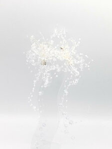 wAs fB[X  h  A  p[  CXg[ O   { ؍ l Vw wAANZT[