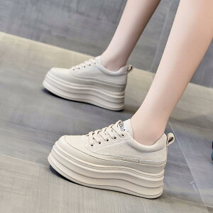 Xj[J[ fB[X  JWA  t  X^CAbv r Vv ₷ 10cm ؍ w ₷ R[f₷