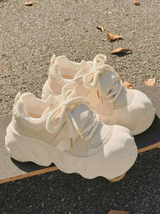 Xj[J[ fB[X  JWA   H 킢 IV X|[eB[ Vv R[f C XJ[g킹₷