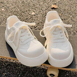 Xj[J[ fB[X  JWA   t Vv 傫 y X|[eB[ 킢