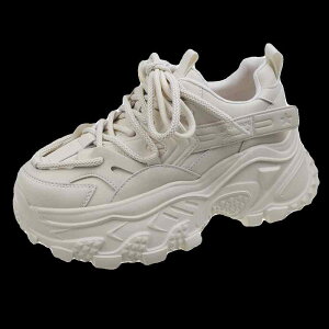 Xj[J[ fB[X  JWA  v  t  r Vv  V[Y X^CAbv X|[c