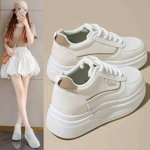 Xj[J[ fB[X  JWA TCY  Cq[ 6cm  Vv H X|[c  R[f킹