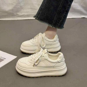 Xj[J[ fB[X  JWA   H VvAbv ₷ [Jbg HR[f 