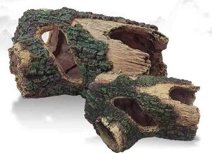 ANAE IuWF   I[ig u ~j`A  ANZT[ CAEg fR[V Mы T ঒ ybg  B I  