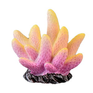 ANAE IuWF   I[ig u ~j`A  ANZT[ CAEg fR[V Mы T ybg  I    sN X