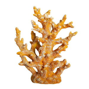 ANAE IuWF   I[ig u ~j`A  ANZT[ CAEg fR[V Mы T ybg  I     X