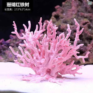 ANAE IuWF  I[ig u ~j`A  ANZT[ CAEg fR[V B Mы T ঒ ybg  I sN   _Co[ M X