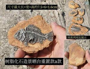 IuWF  u I[ig K[f ANAE   ~j`A fR[V J Mы ঒  I 