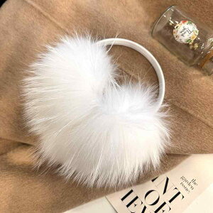 C[}t  Jo[  fB[X  h g JWA H~ 킢 湎q {[ t@[ ی tt  ΍ ~ tFCNt@[ ANZT[