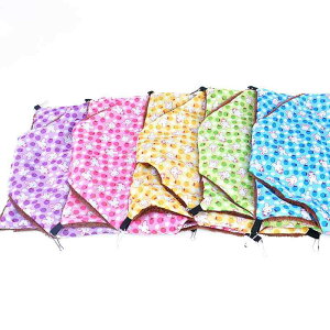 ybg nbN h ۉ ӂӂ lp` dw ݂艺 nMO xbh Q obNt P[W tFbg L bg nX^[  Vv 킢   sN 