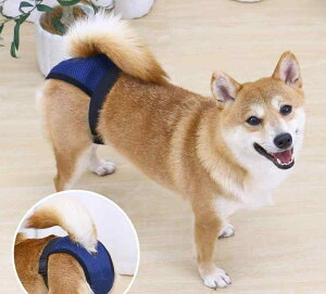 犬 生理パンツ カバー 通気性 柔らかい サニタリー ペット 女の子 メス 柴 小型 中型 サニタリー おむつ 発情期 月経 漏れ ズレ 防止 介護 お出かけ 洗濯可能 快適 バックル 青 黒