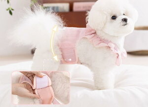  pc Jo[ ʋC _炩 Tj^[ ybg X t K }i[ Tj^[ V[c R h~ Eɂ o sN  t {^ ^ rVt[[