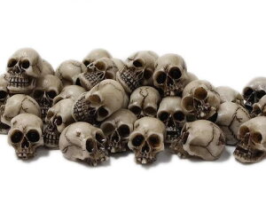 nEB  u   [ XJ  SVbN  Aؔ oRj[  Cxg CeA I[ig   rO p[eB[ 