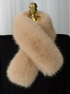 Xk[h fB[X p tFCNt@[ GRt@[ }t[ lbNEH[}[  o[Vu h ۉ H~  炩 i GKg Vv n NX ig 