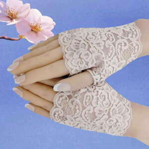  jp jZbNX [X ҂ wȂ V[g w O[u n ~ Ăh~ UV΍  ^gD[B ^] hCu  Xe[W ߑ RXv   sN