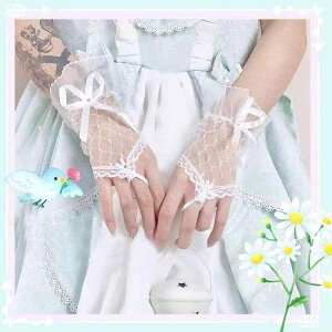  fB[X [^ vZX SVbN [X tBK[XO[u `[ t { A[Jo[ EFfBO uC_  RXv  Cxg p[eB[ 