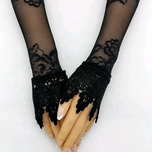 t fB[X ؍ [X  A[Jo[ XgJo[ ՉB Ă΍ ig o t t@bV