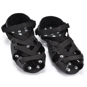 ACXXpCN AC[ R oR 32{ XeX ~ ȒP AEghA H~ H gbLO y Vv