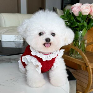 ybg ViEU[ rV jbg xXg AE^[ N NX}X VN NNn H~ JWA [X 