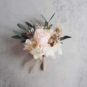 RT[W Xgu[P vU[uht[ Vp[Y VY u[gjA Vw Xgbg Yl  uC_ EFfBO tH[}  i Vv