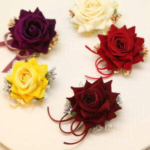 u[` fB[X RT[W o  tH[} \ I  񎟉  w Ǝ  T p[eB[ GKg i ؂₩ Te{ ANZT[ 