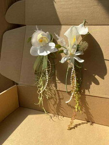 RT[W Y EFfBO  I ys  GA[ i` Xn J[ Ӓ O[ zCg X[c ^LV[hp ANZT[ tHgEFfBO VY