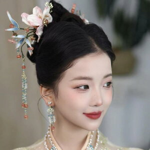  ԉ uC_ EFfBO  wAs ؕ GXjbN NVJ t[`[t ̉  lH `CihX   i