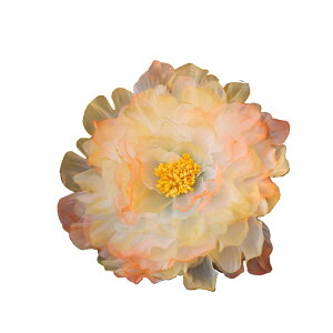   O    wANbv TChNbv  Ñ RXv {앗 g ؂₩  i IWn