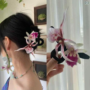 wANbv fB[X nhCh ؕ I AȌӒ  ԃ`[t tbL[H oXNbv  i GKg ؂₩ ig tH[} sN  A