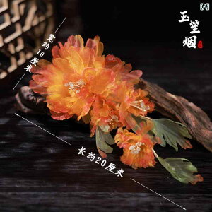  a Õ  O VNN Ă IW 񂴂  wANbv  obNJ`[V   a wbhhX H~