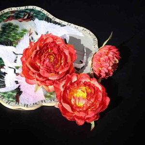  u O   ÓT   wANbv wbhhX Bep OB GKg g AeB[N