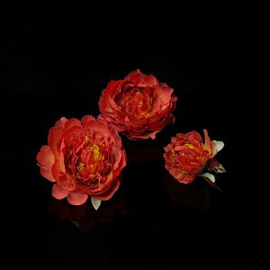  fB[X p O ։   ؕ a wANbv     Cxg \ p[eB[ 