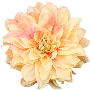  a _A tE   a r[` s ʐ^Be wANbv  wAANZT[ z FWJ sNn {h[ IW u[n ؕ